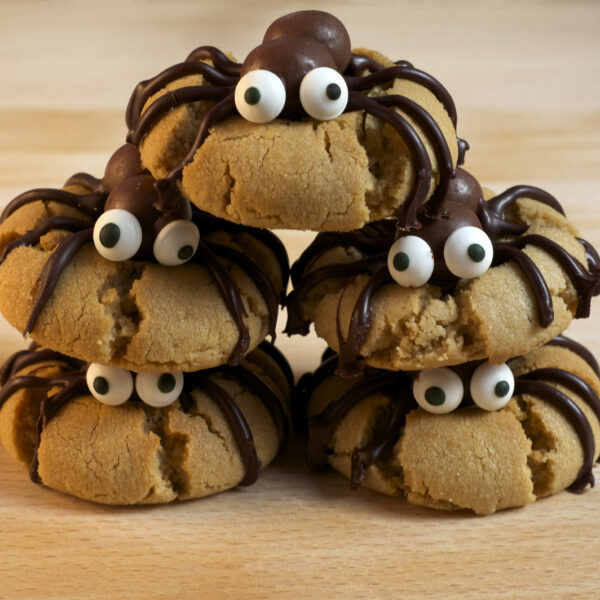 Spider Cookie